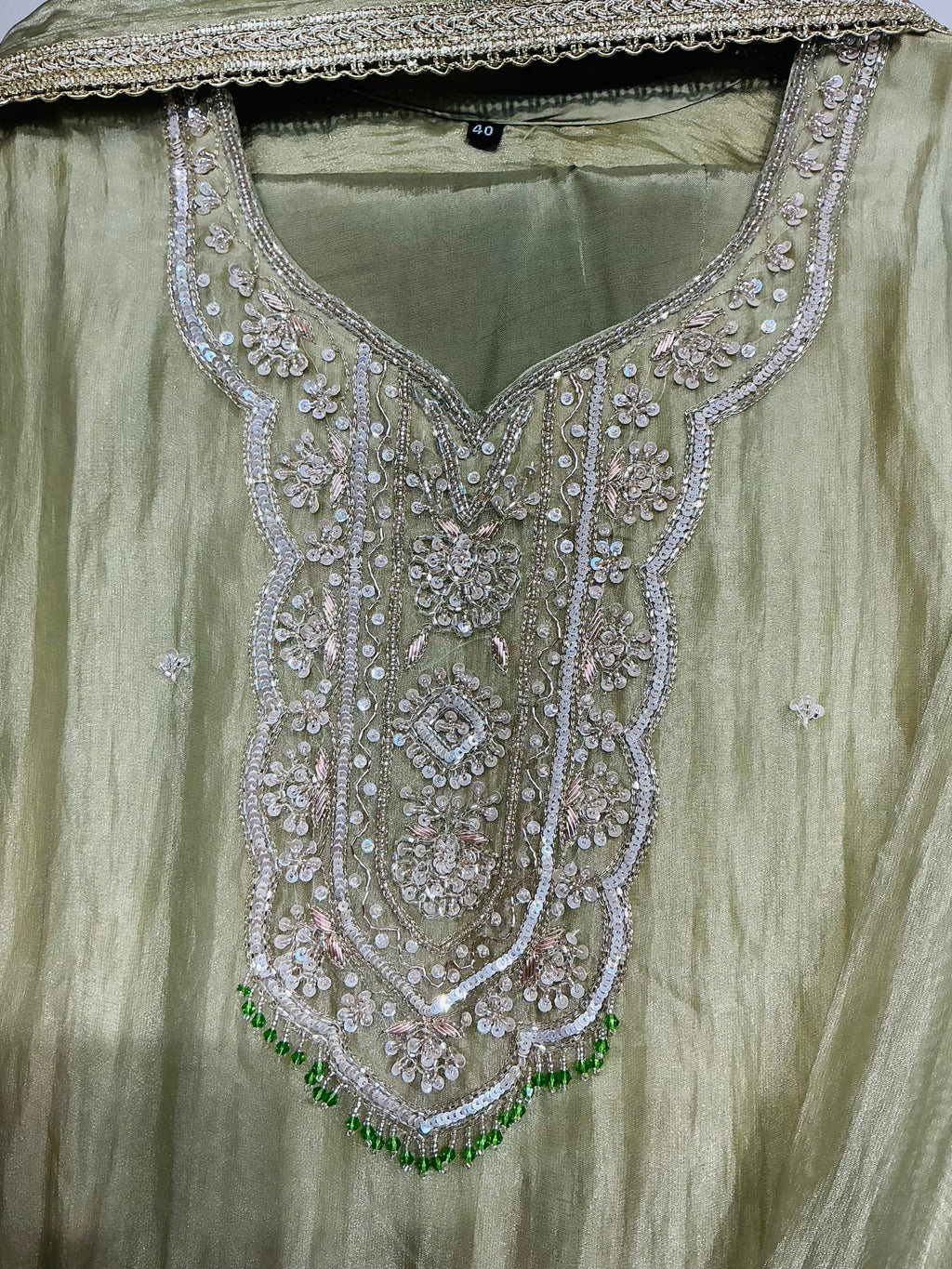 Pastel Green Salsa Zari Embroidered Set