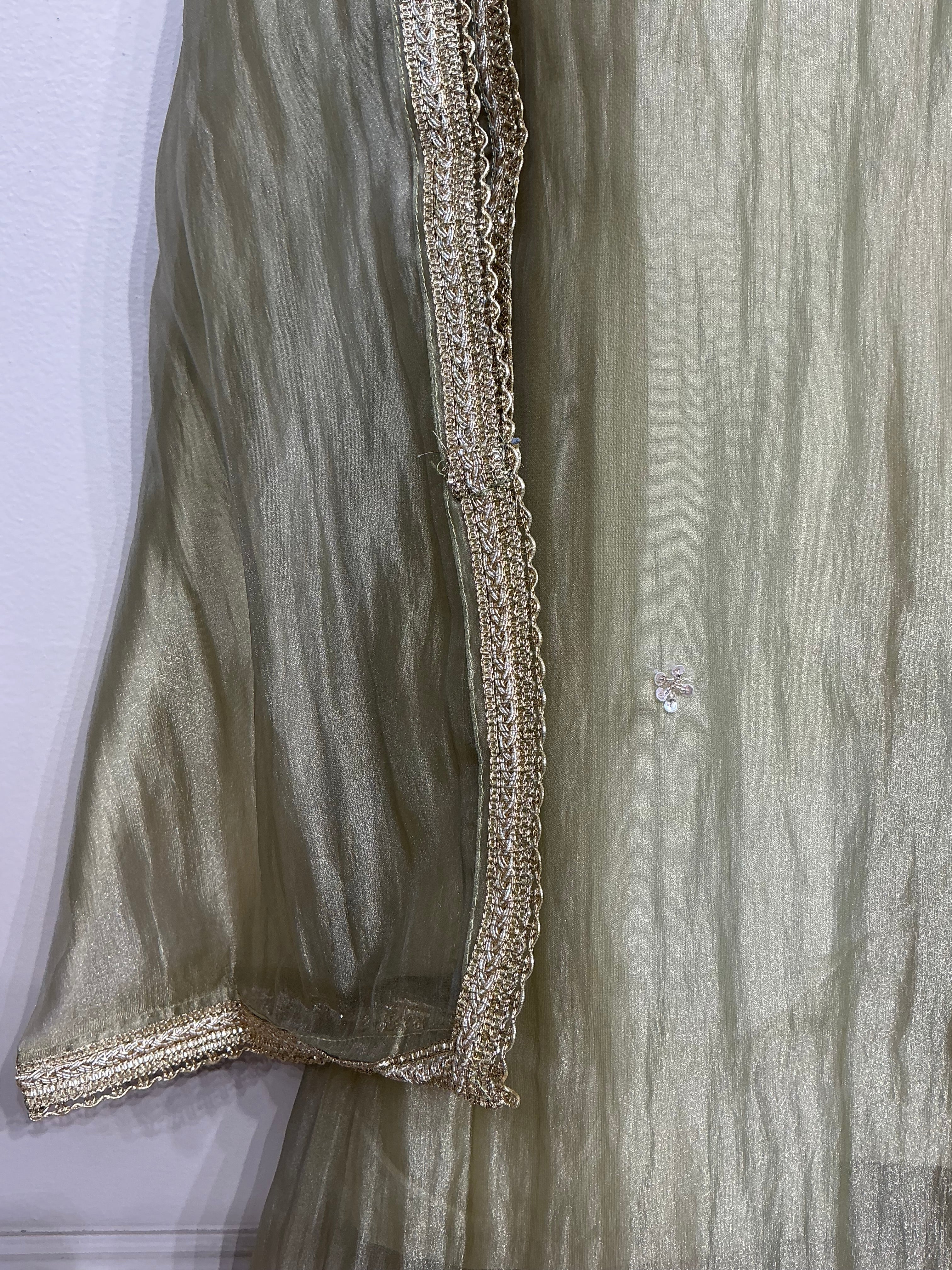 Pastel Green Salsa Zari Embroidered Set