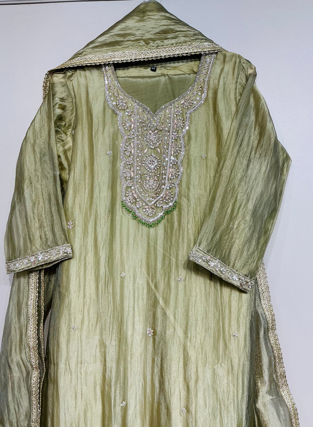 Pastel Green Salsa Zari Embroidered Set